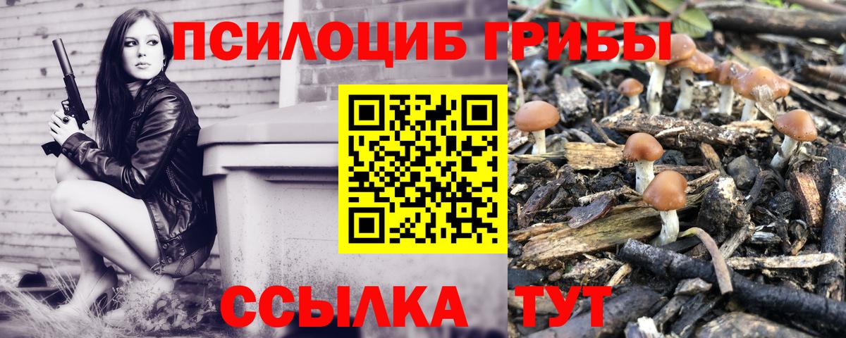 Псилоцибиновые грибы Psilocybine cubensis Сызрань